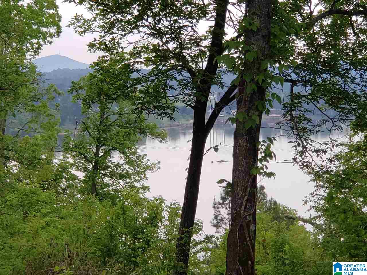 205 Overlook Ridge Lincoln, AL 35096 - Photo 3 of 17