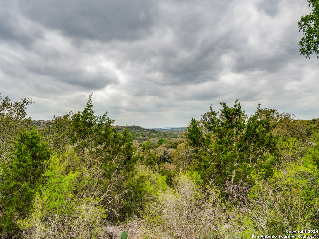 192 Macaw Lane Spring Branch, TX 78070 - Photo 15 of 22 a view of a bunch of trees
