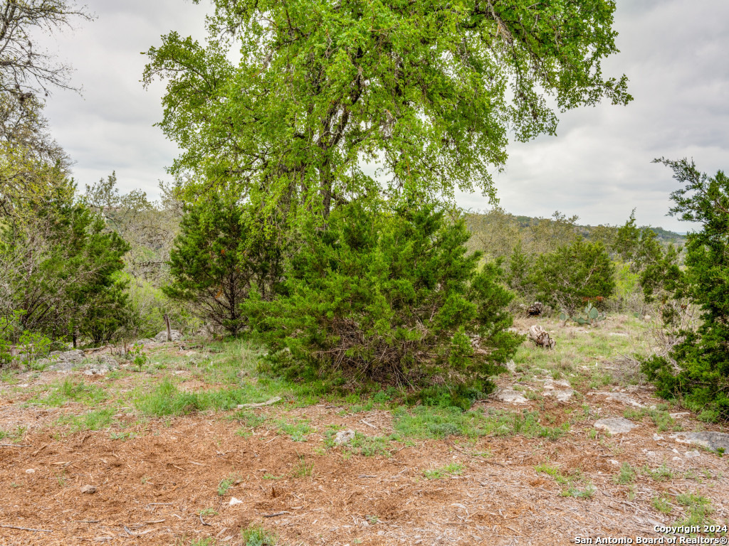 192 Macaw Lane Spring Branch, TX 78070 - Photo 16 of 22 a view of a yard with plants and a tree