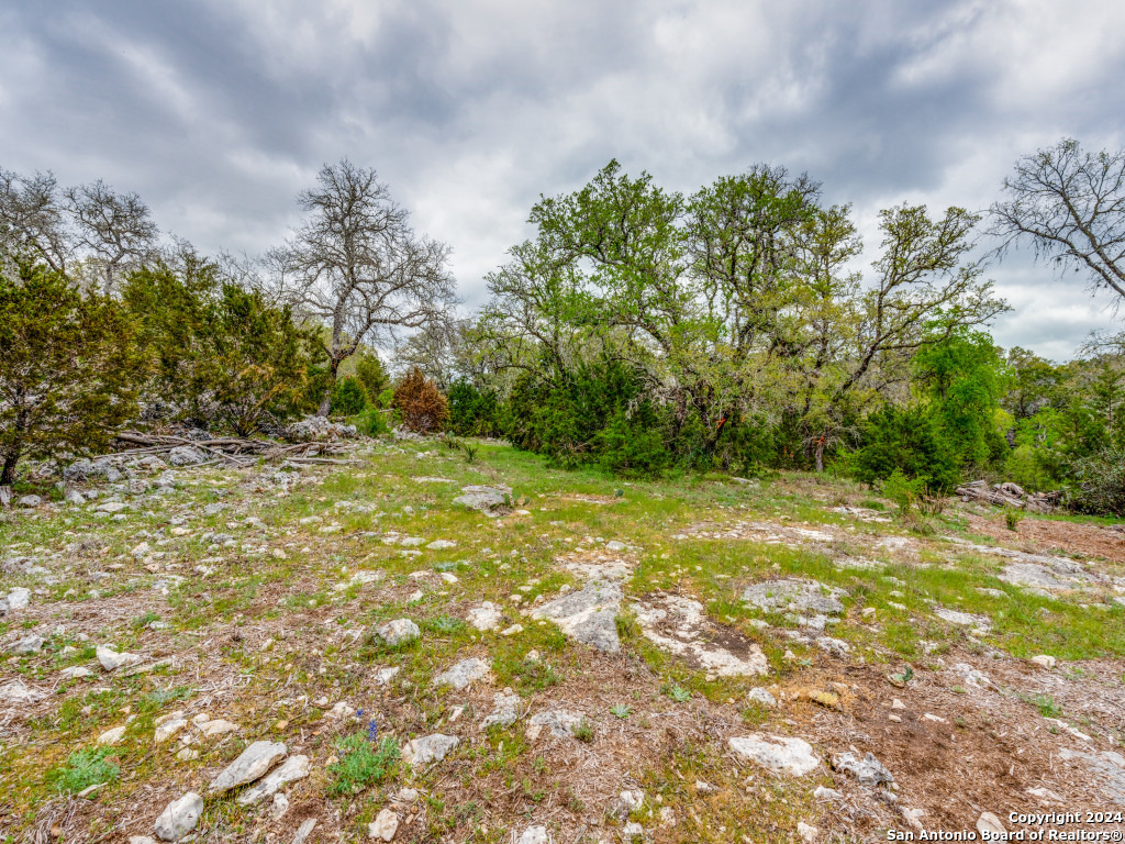 192 Macaw Lane Spring Branch, TX 78070 - Photo 17 of 22 a view of backyard with green space