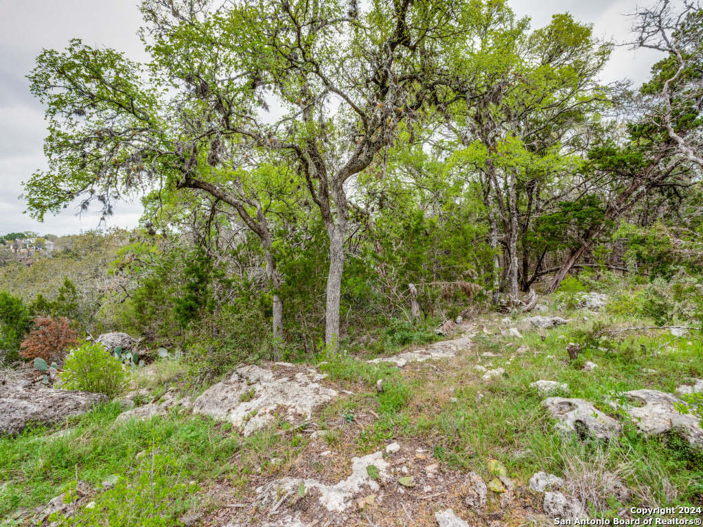 192 Macaw Lane Spring Branch, TX 78070 - Photo 18 of 22 a backyard of a house with lots of green space