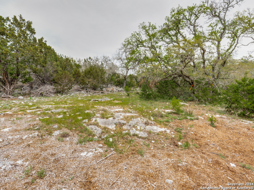 192 Macaw Lane Spring Branch, TX 78070 - Photo 19 of 22 a view of a yard with a tree