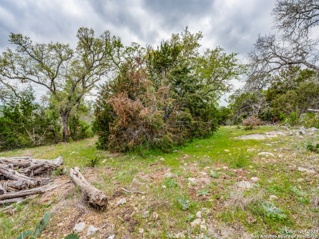 192 Macaw Lane Spring Branch, TX 78070 - Photo 20 of 22 a view of a yard with plants and large trees