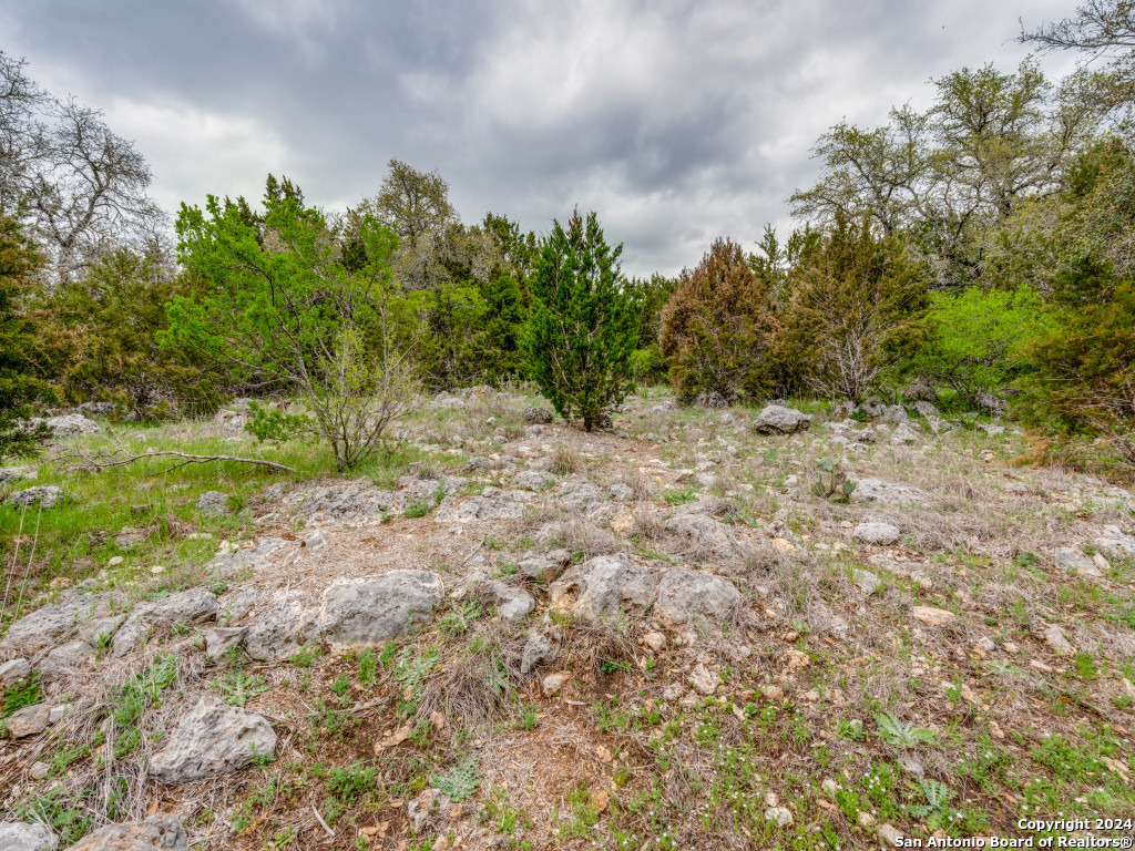 192 Macaw Lane Spring Branch, TX 78070 - Photo 21 of 22 a view of a yard with a tree