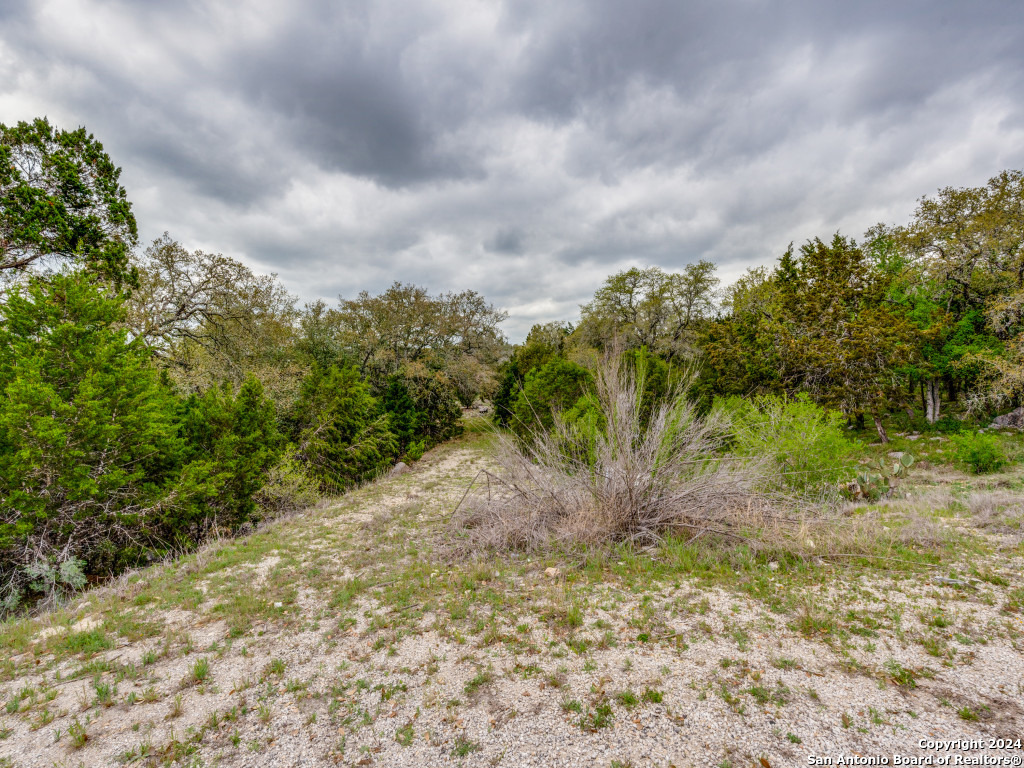 192 Macaw Lane Spring Branch, TX 78070 - Photo 22 of 22 a view of a yard with plants and trees