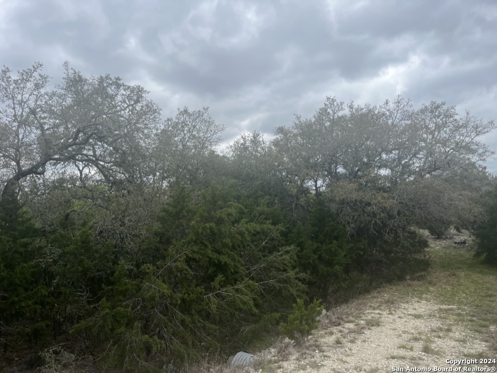 192 Macaw Lane Spring Branch, TX 78070 - Photo 3 of 22 a view of a yard