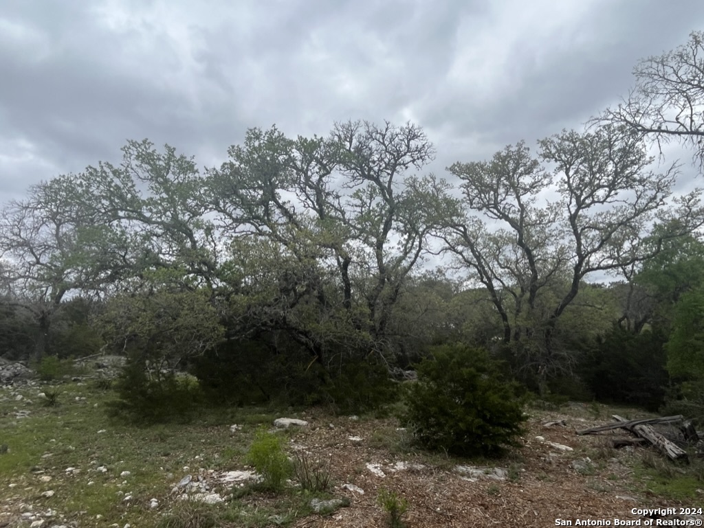 192 Macaw Lane Spring Branch, TX 78070 - Photo 4 of 22 a view of a yard with a tree