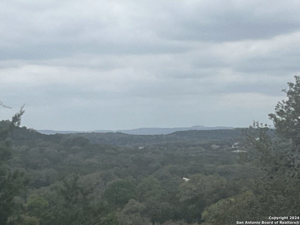 192 Macaw Lane Spring Branch, TX 78070 - Photo 6 of 22