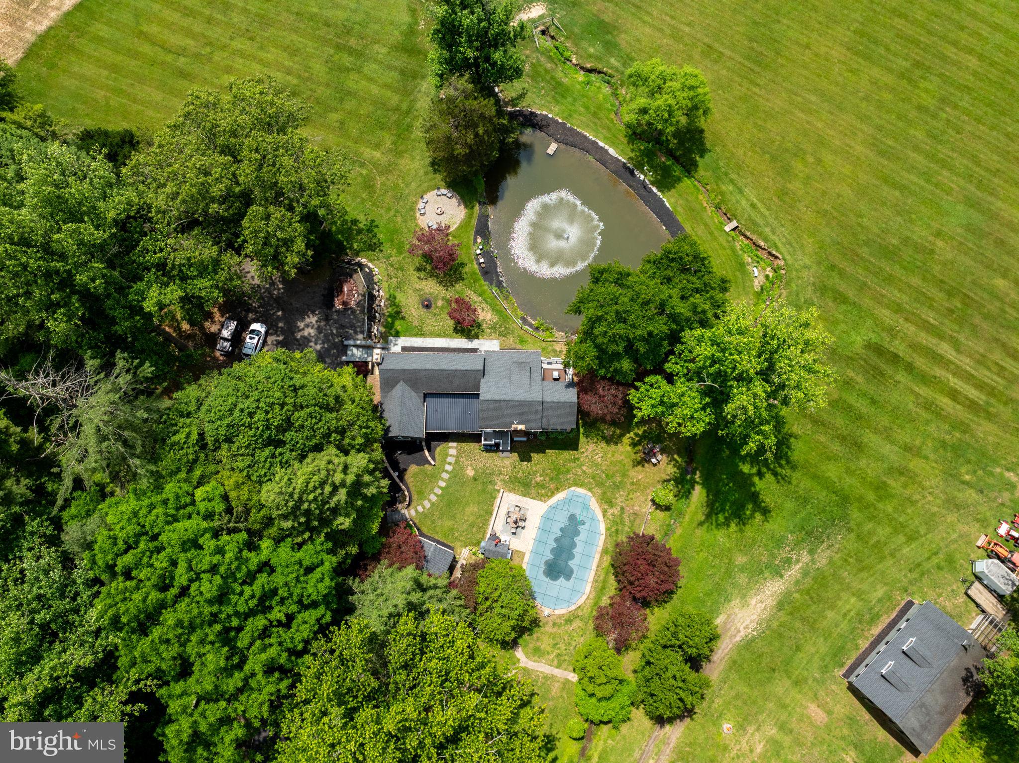 Serene oasis with lush greenery.