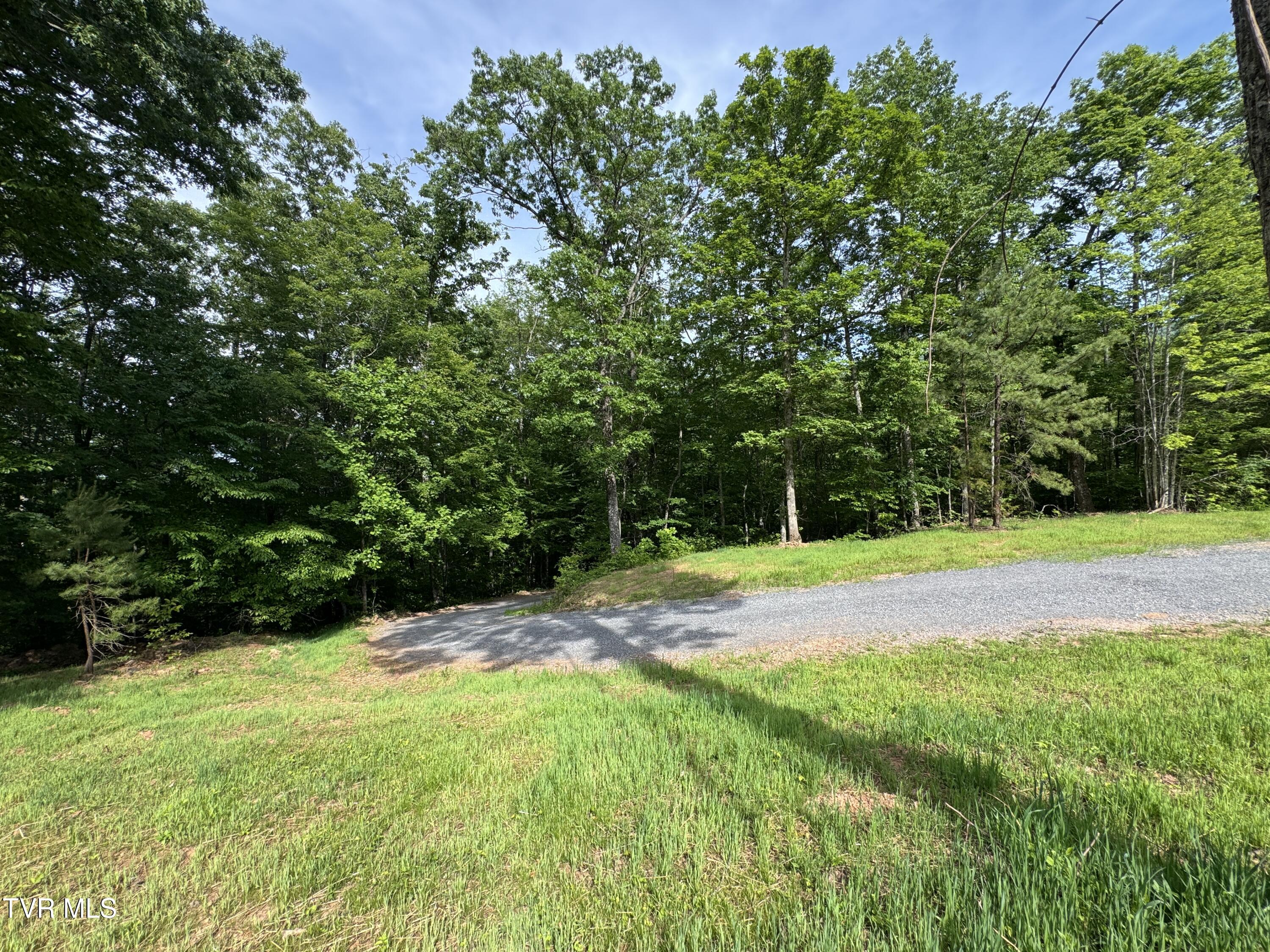 1555 Hamner Hollow Road Big Stone Gap, VA 24219 - Photo 34 of 41 VIEW FROM FRONT YARD