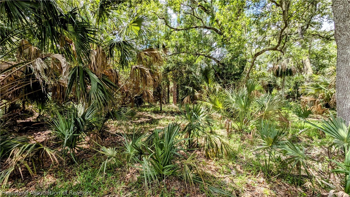5003 Sweetwater Road Zolfo Springs, FL 33890 - Photo 17 of 39 Gallery Image 17