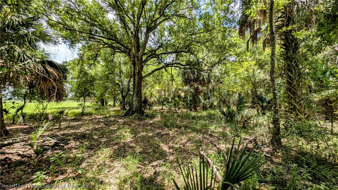 5003 Sweetwater Road Zolfo Springs, FL 33890 - Photo 27 of 39 Gallery Image 27