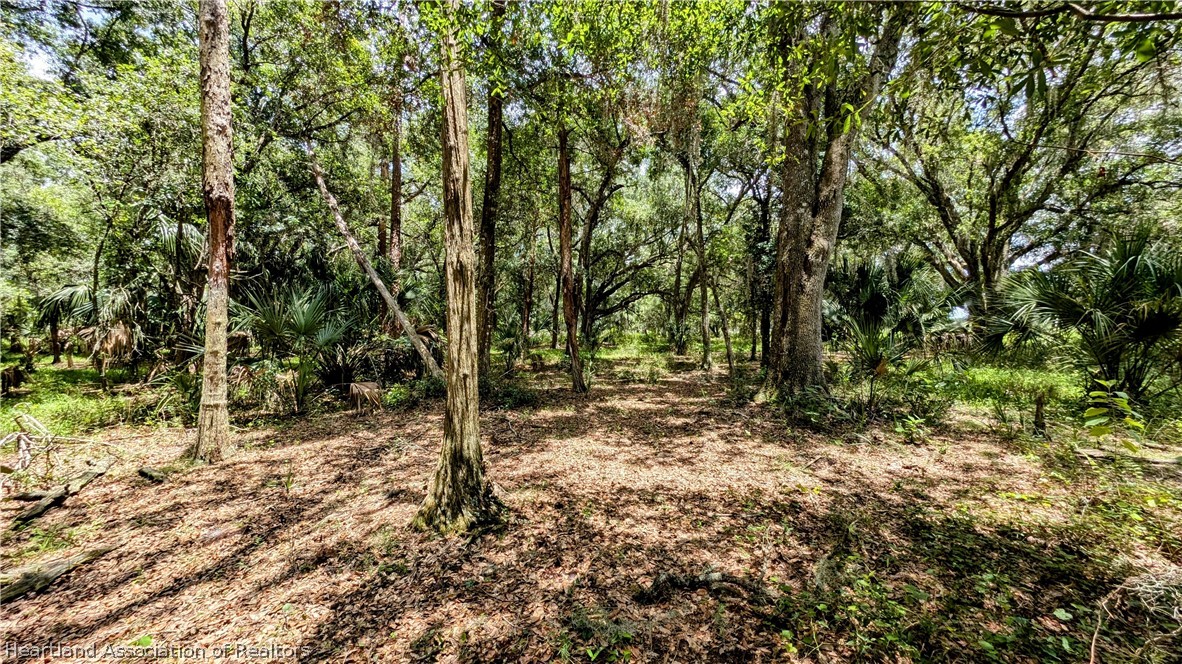 5003 Sweetwater Road Zolfo Springs, FL 33890 - Photo 35 of 39 Gallery Image 35