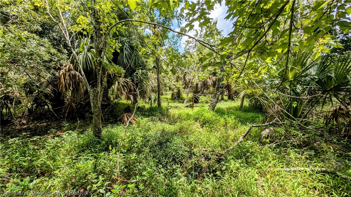 5003 Sweetwater Road Zolfo Springs, FL 33890 - Photo 4 of 39 Gallery Image 4