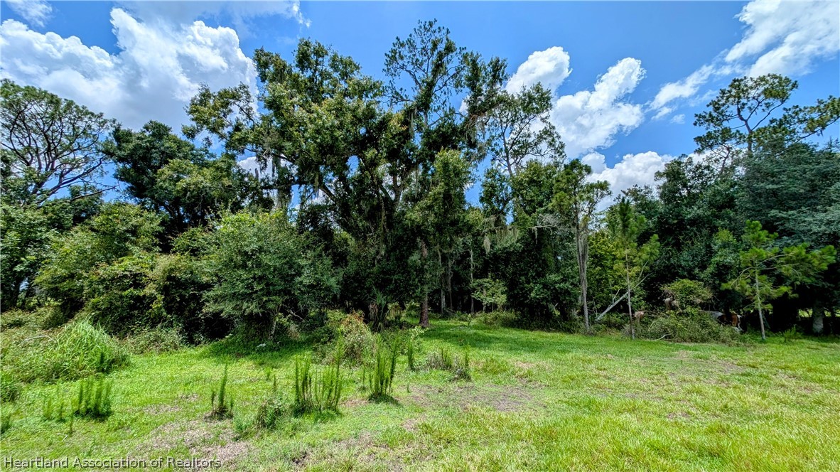 5003 Sweetwater Road Zolfo Springs, FL 33890 - Photo 10 of 39 Gallery Image 10