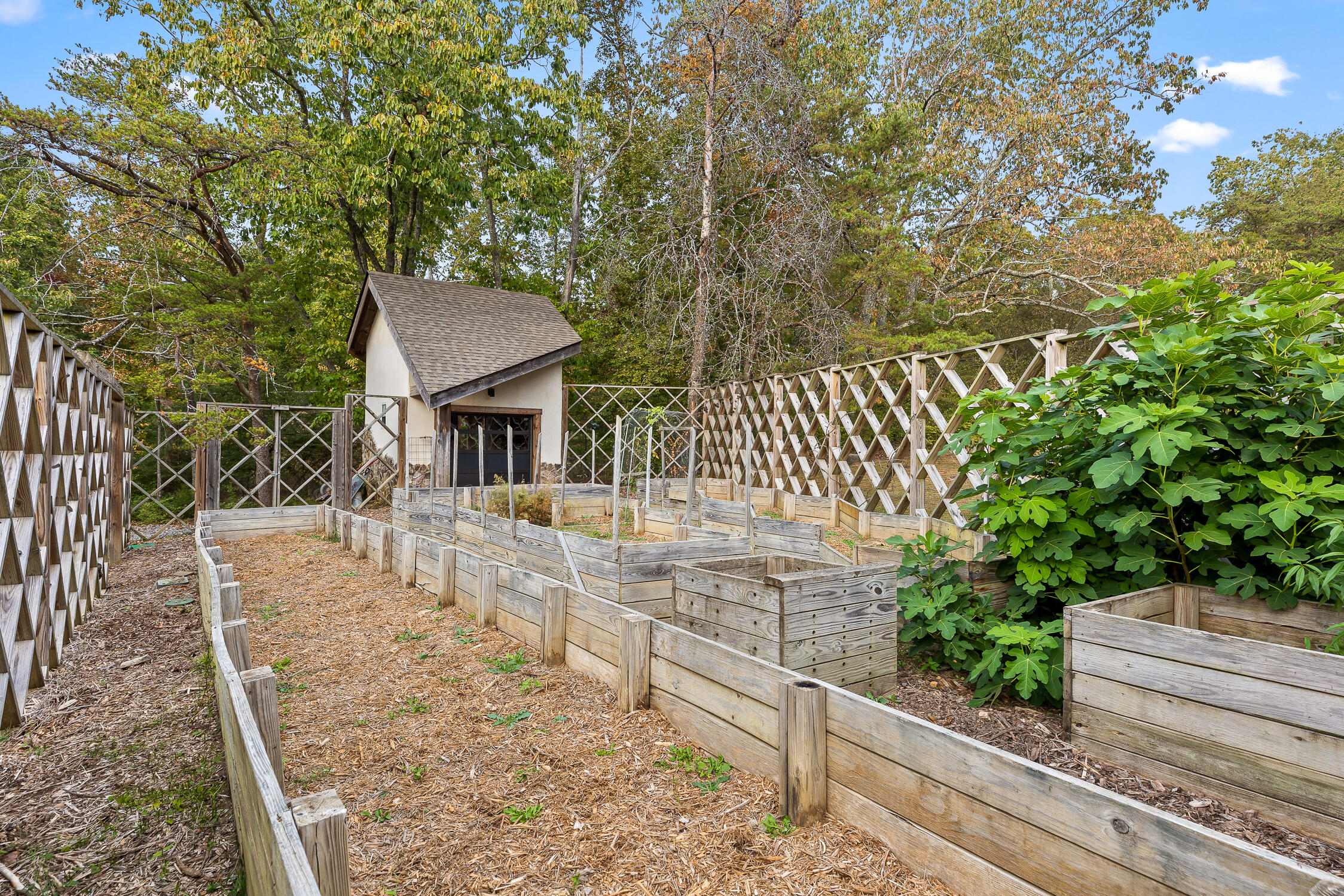 1013 Cumberland Road Chattanooga, TN 37419 - Photo 65 of 76 Cumberland-40