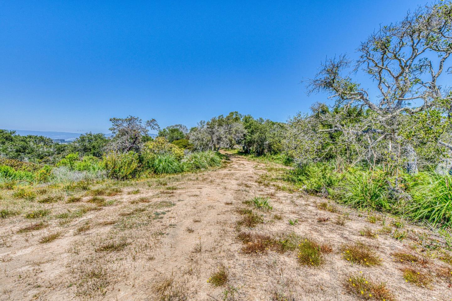 417 B Maher Road Watsonville, CA 95076 - Photo 18 of 37