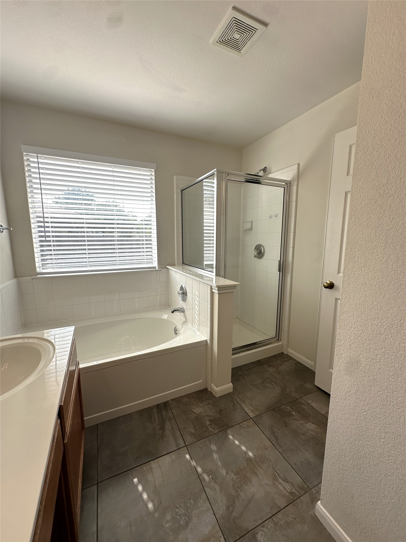 722 Ranier Lane Round Rock, TX 78665 - Photo 9 of 24 Tiled flooring pairs with a soaking tub and separate shower enclosure in this bathroom.
