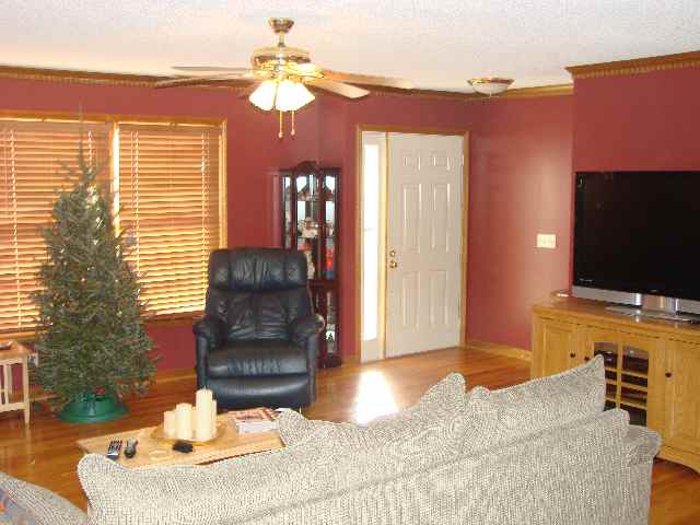 211 Ike Road Six Mile, SC 29682 - Photo 4 of 13 Gallery Image 4