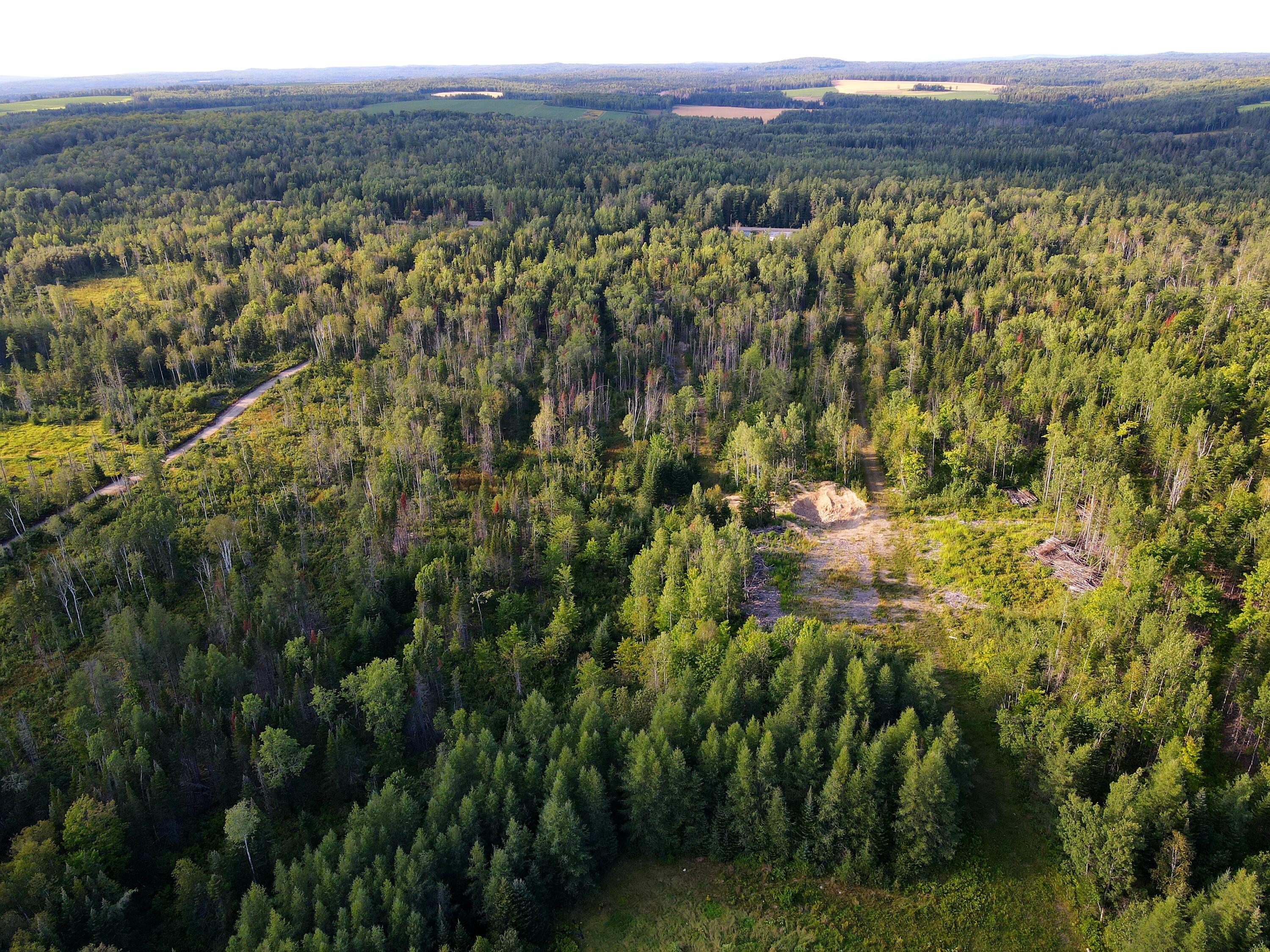 999 Beaulieu Road Caribou, ME 04736 - Photo 4 of 7 Photo_6554103_DJI_503_jpg_7213029_0_2021