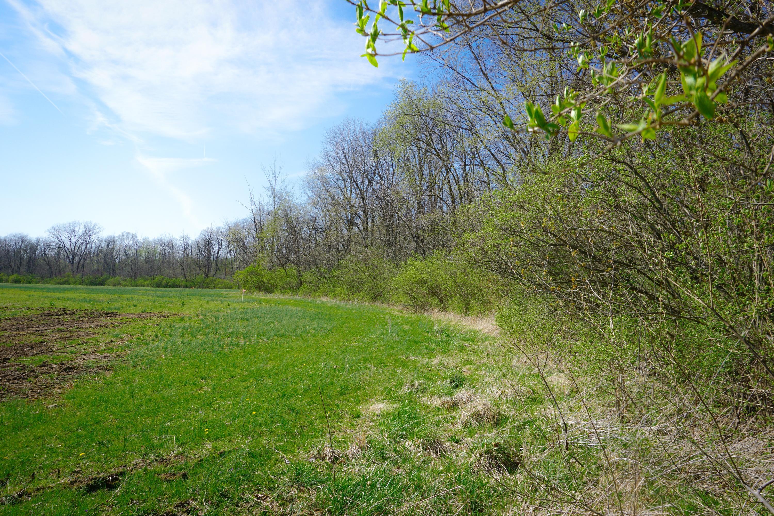 2570 Klondike Road Delaware, OH 43015 - Photo 4 of 12 Gallery Image 4