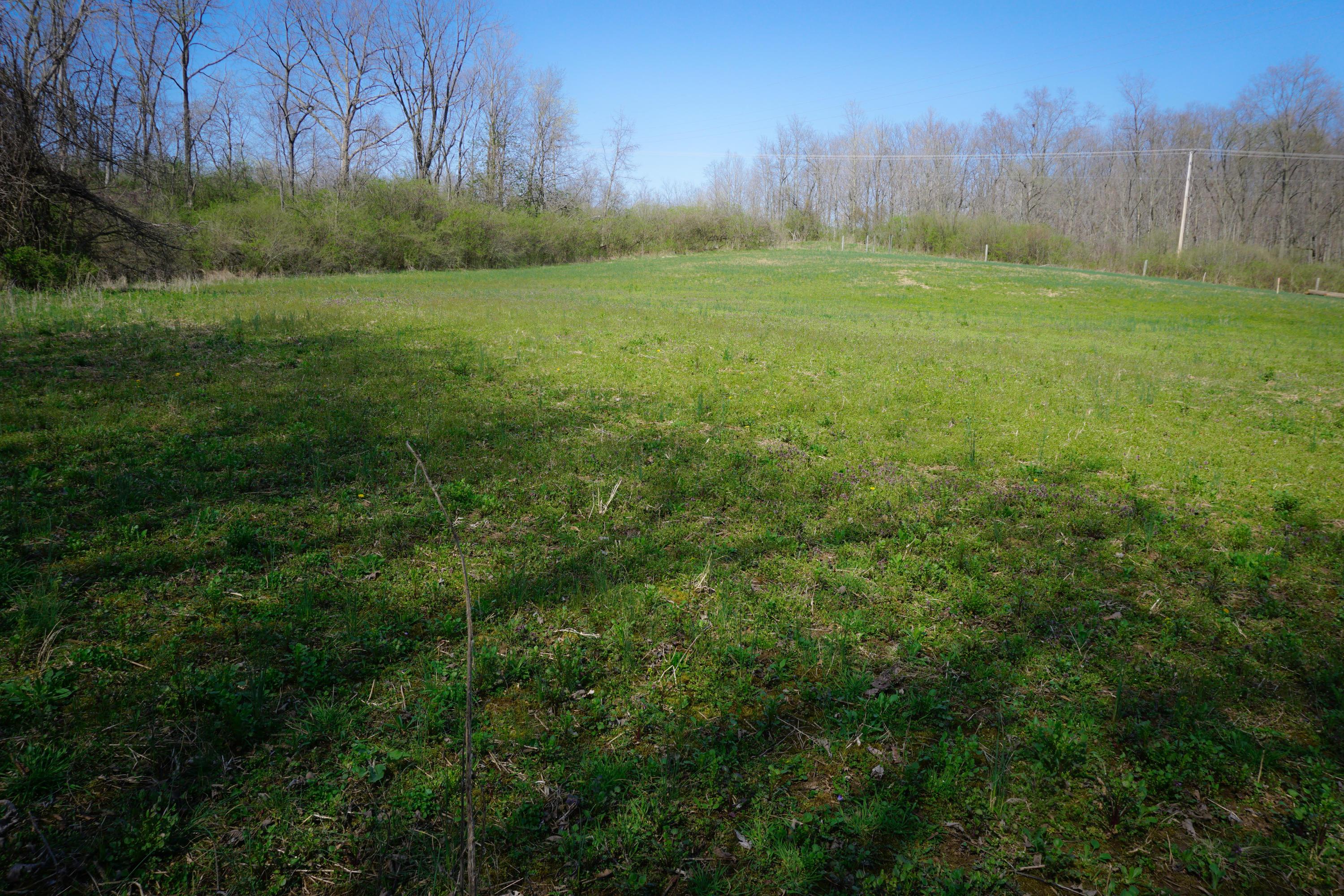 2570 Klondike Road Delaware, OH 43015 - Photo 9 of 12 Gallery Image 9
