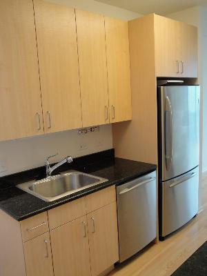 800 Elgin Road, Unit PH05 Evanston, IL 60201 - Photo 6 of 18