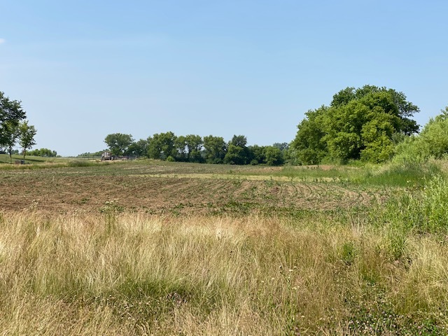 16510 Nelson Road Woodstock, IL 60098 - Photo 5 of 10 a view of a lake view
