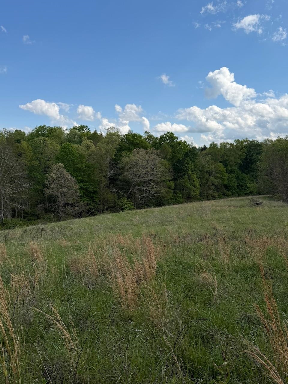2395 Stringtown Road Sandy Hook, KY 41171 - Photo 6 of 13