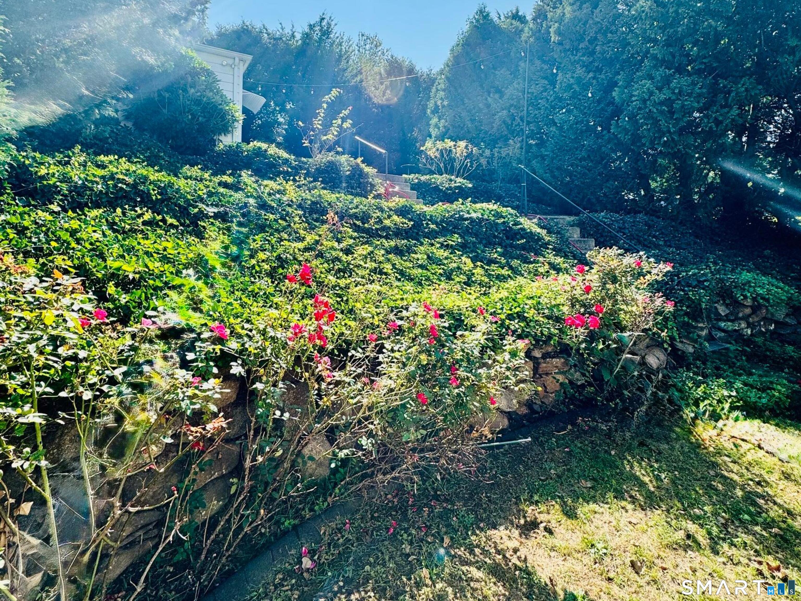 253 Kneeland Road New Haven, CT 06512 - Photo 37 of 42