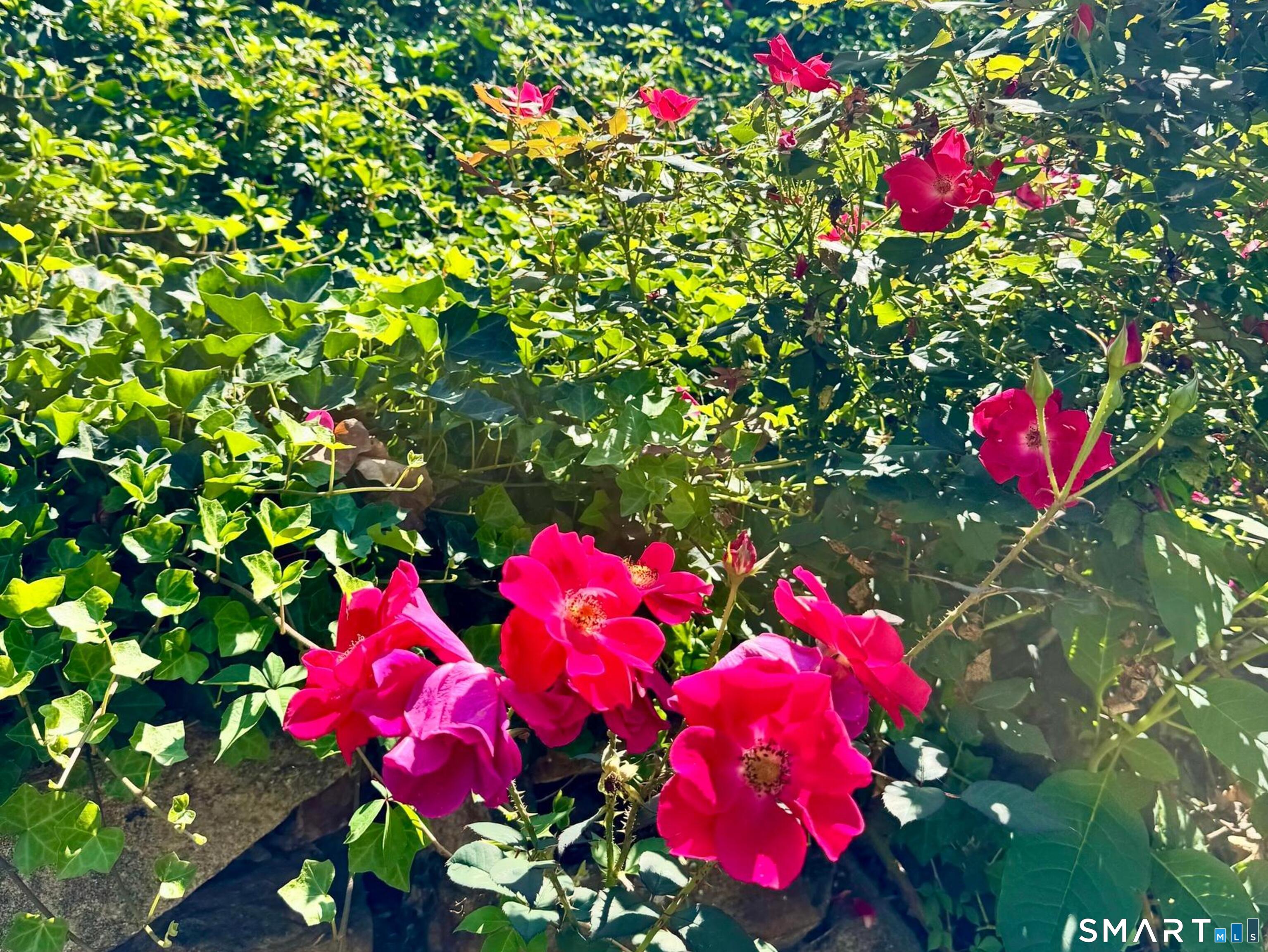 253 Kneeland Road New Haven, CT 06512 - Photo 38 of 42