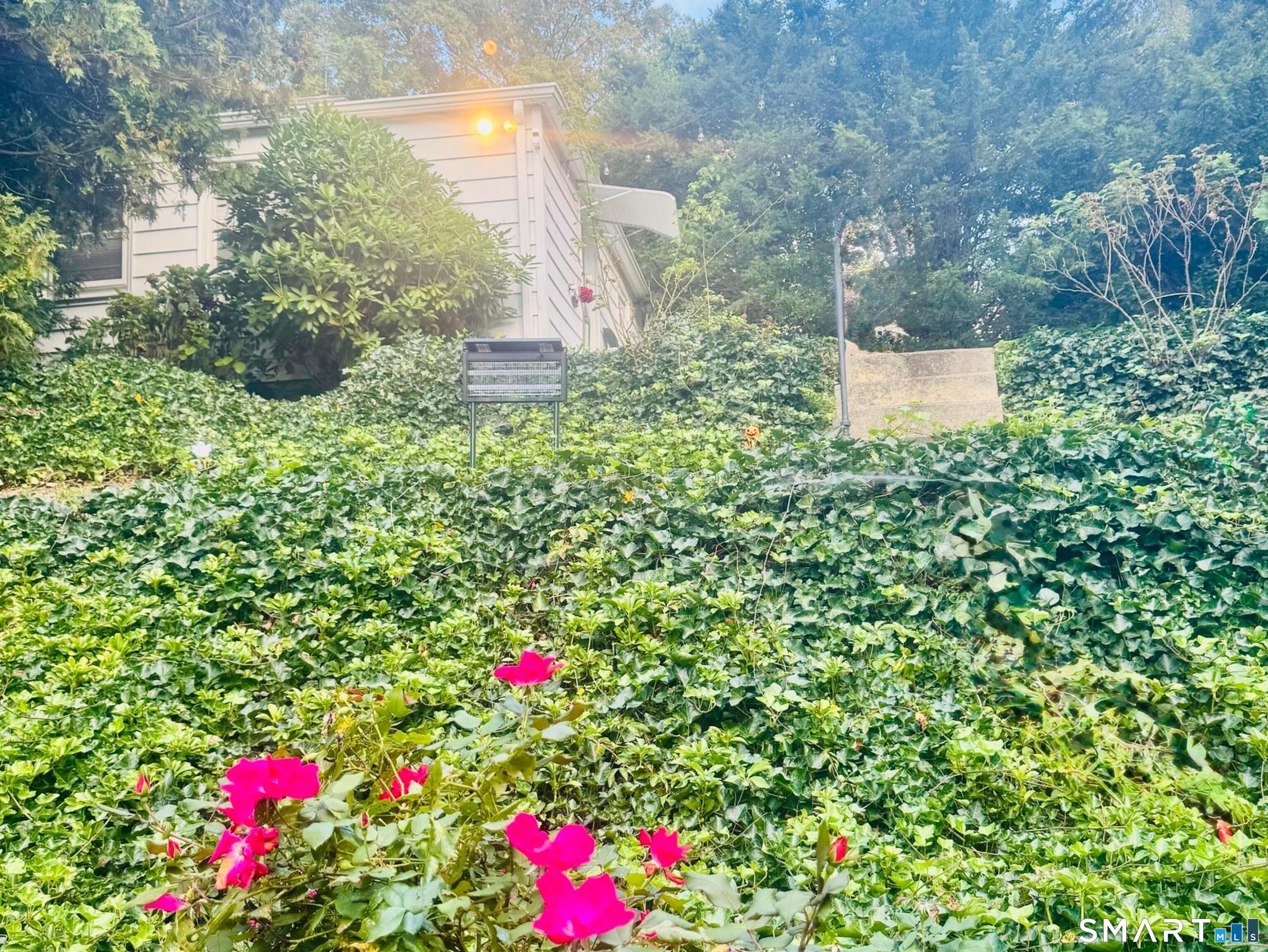 253 Kneeland Road New Haven, CT 06512 - Photo 39 of 42