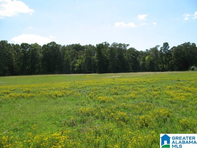 1950 Steele Station, Unit 59 AC Steele, AL 35987 - Photo 3 of 12