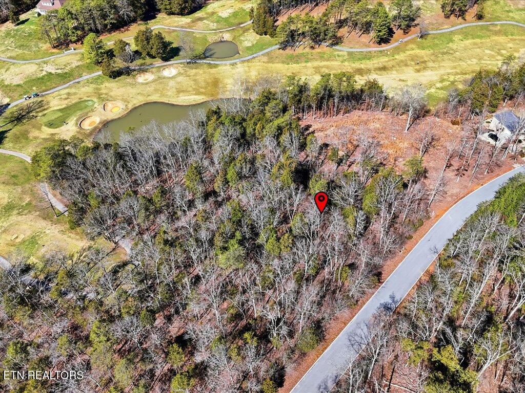 Lot 101 Eagles Ridge Tazewell, TN 37879 - Photo 11 of 33 Lot 101 Eagles Ridge - 12