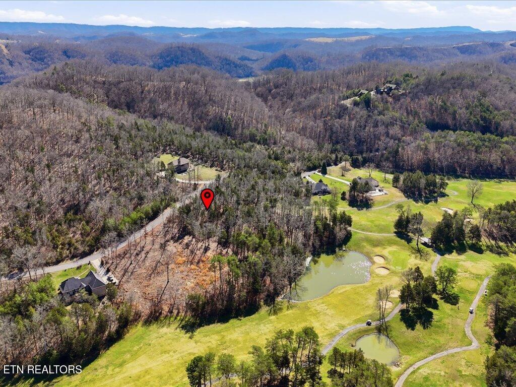 Lot 101 Eagles Ridge Tazewell, TN 37879 - Photo 15 of 33 Lot 101 Eagles Ridge - 16