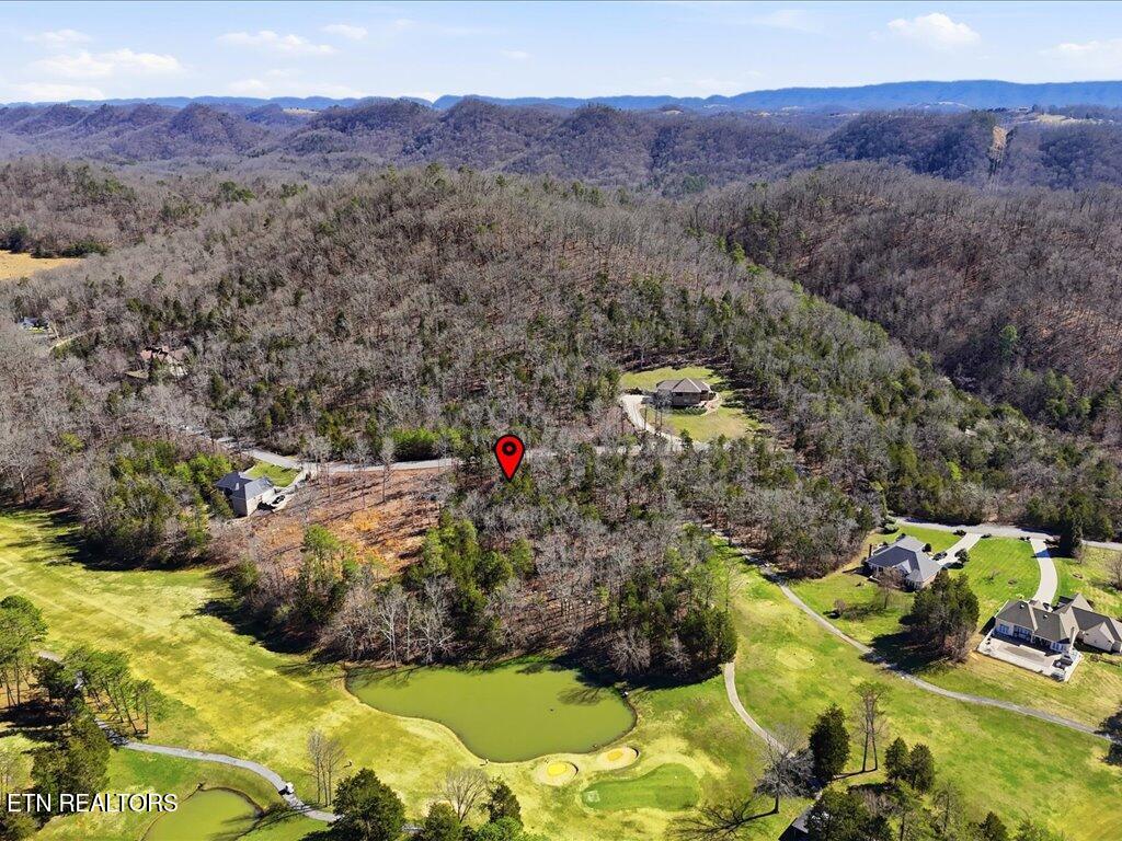 Lot 101 Eagles Ridge Tazewell, TN 37879 - Photo 16 of 33 Lot 101 Eagles Ridge - 17