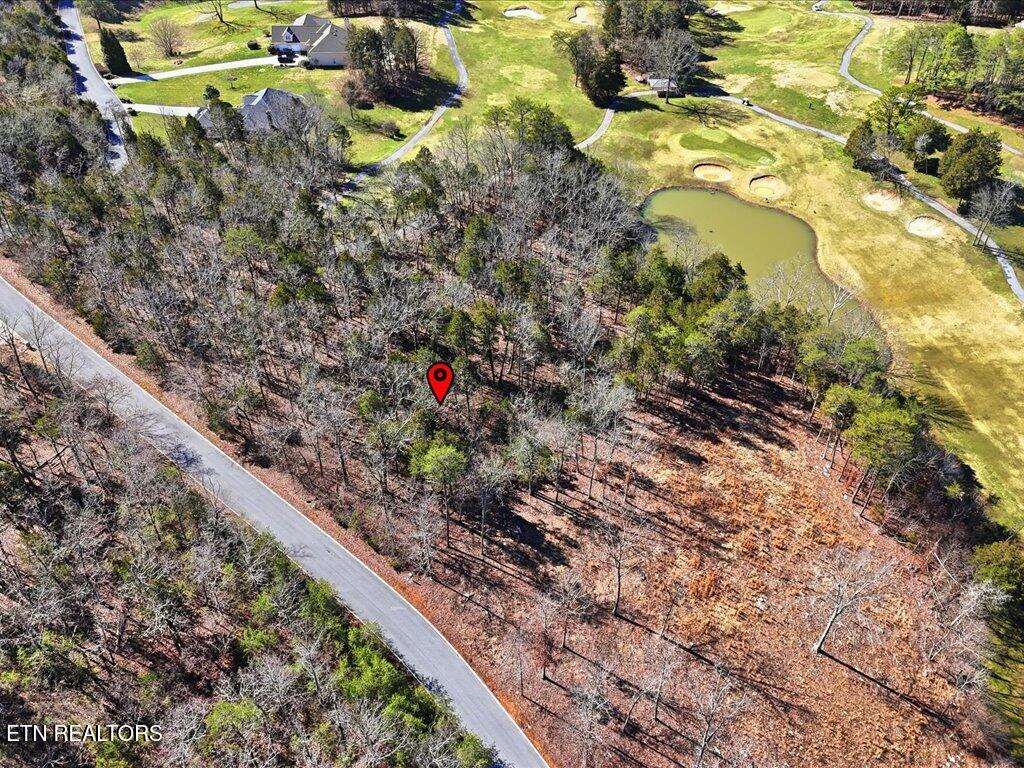 Lot 101 Eagles Ridge Tazewell, TN 37879 - Photo 6 of 33 Lot 101 Eagles Ridge - 6