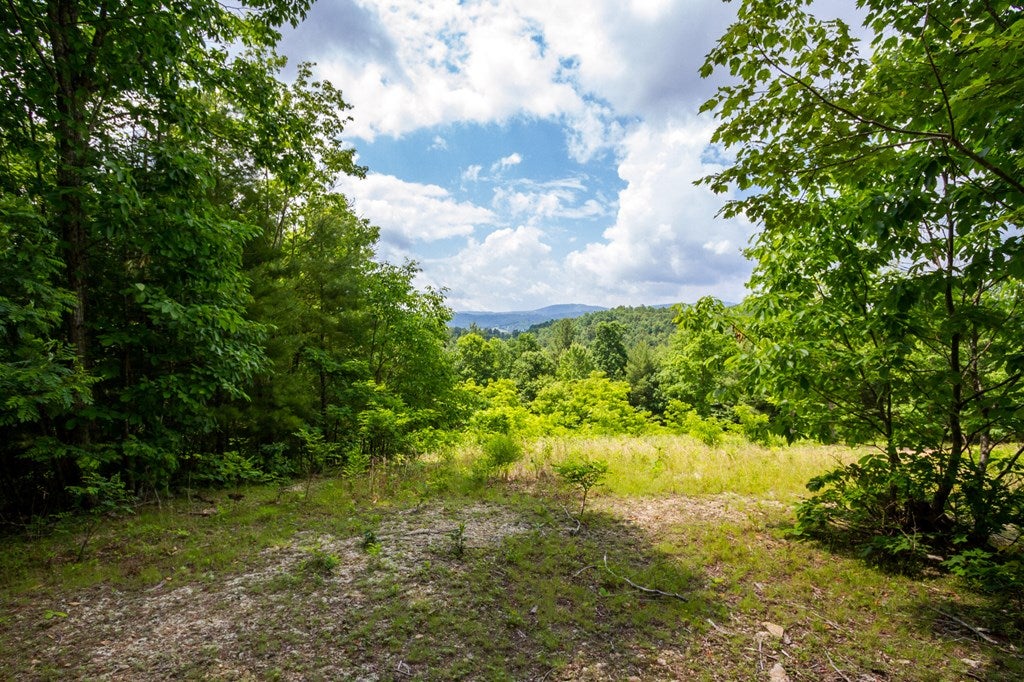Lot 4 Gem Stream Road, Unit 4 Elk Creek, VA 24326 - Photo 25 of 33 Gallery Image 25