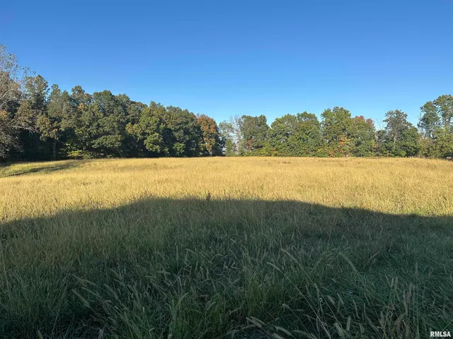 $825,000 | 5446 North 1700th Street, Dieterich, IL 62424