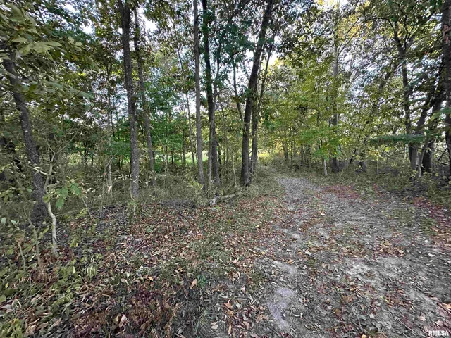 $825,000 | 5446 North 1700th Street, Dieterich, IL 62424