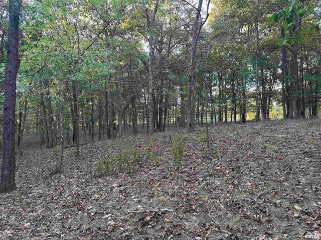 $825,000 | 5446 North 1700th Street, Dieterich, IL 62424