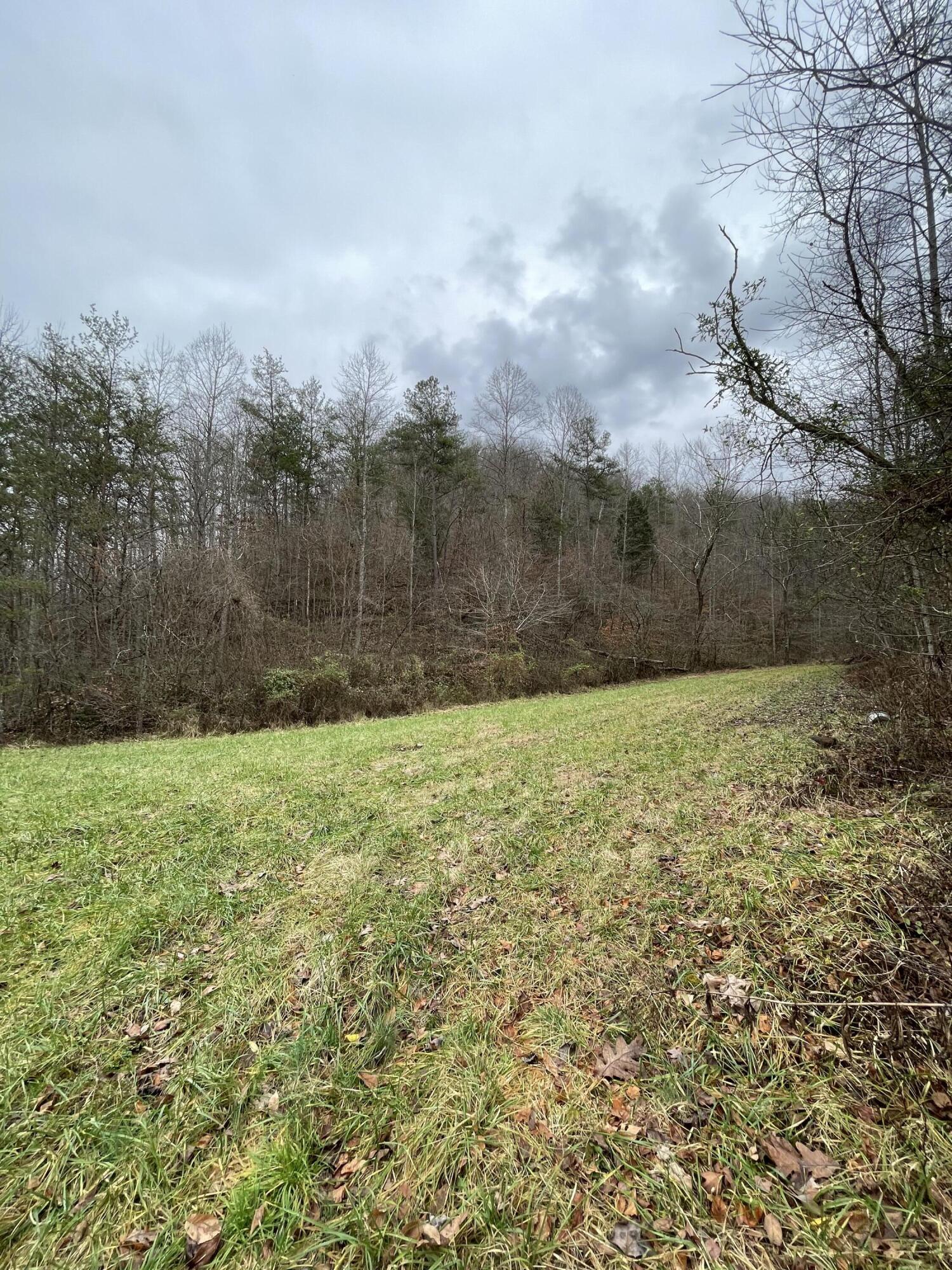 4617 Crane Creek Road Manchester, KY 40962 - Photo 41 of 53 3E32FB49-7CDF-4ADD-9629-201009509A97