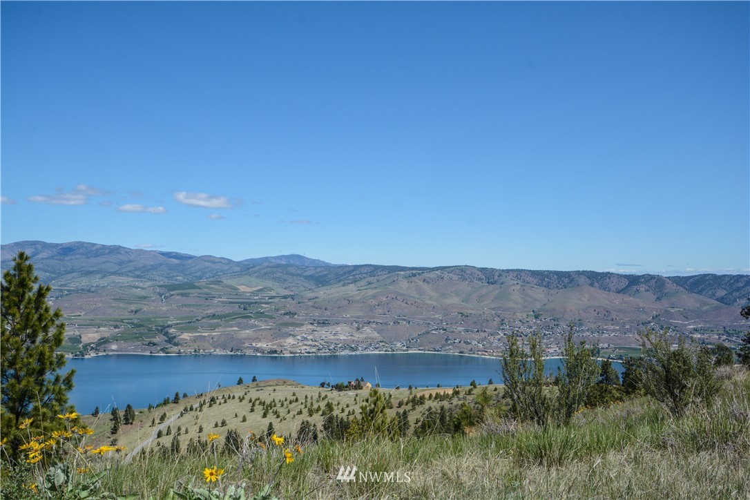 294 Hawks Ridge Road Chelan, WA 98816 - Photo 2 of 19 Gallery Image 2