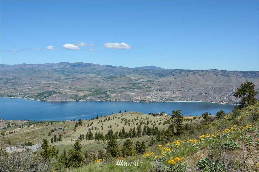 294 Hawks Ridge Road Chelan, WA 98816 - Photo 12 of 19 Gallery Image 12