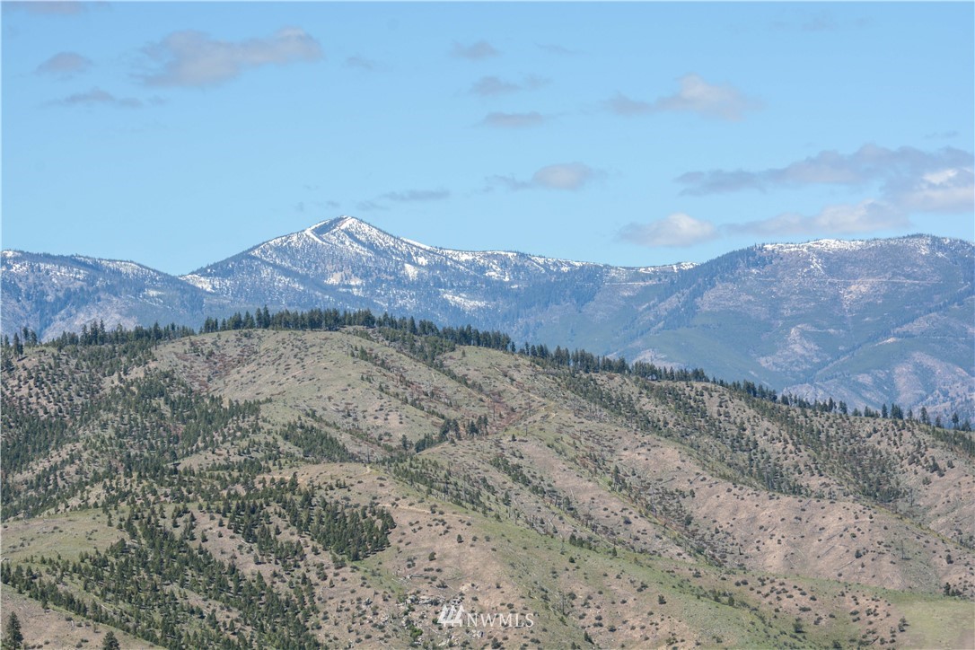 294 Hawks Ridge Road Chelan, WA 98816 - Photo 14 of 19 Gallery Image 14