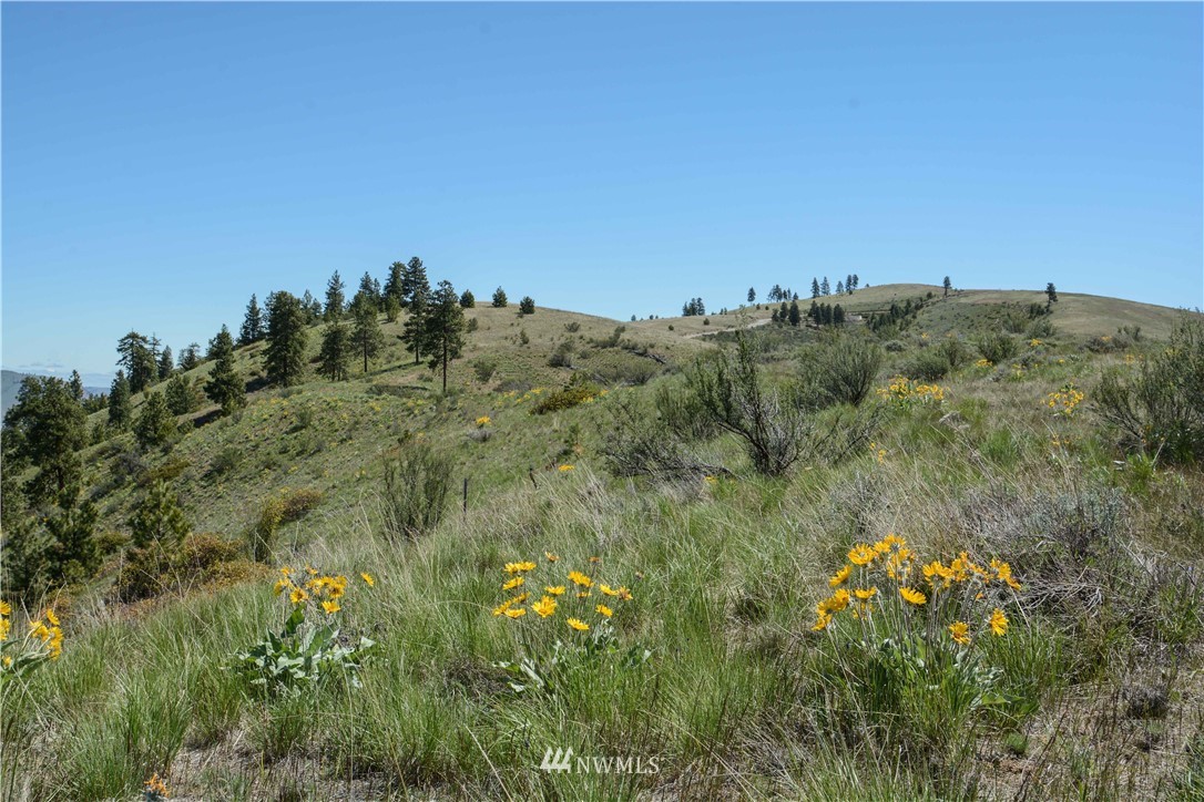 294 Hawks Ridge Road Chelan, WA 98816 - Photo 4 of 19 Gallery Image 4