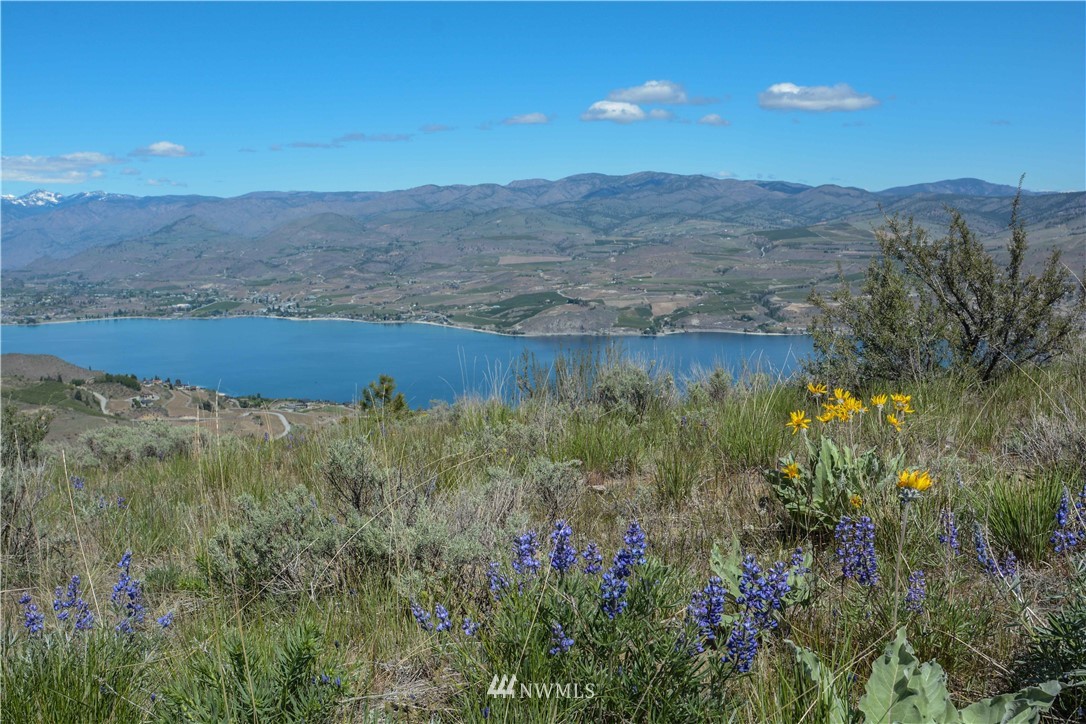 294 Hawks Ridge Road Chelan, WA 98816 - Photo 10 of 19 Gallery Image 10