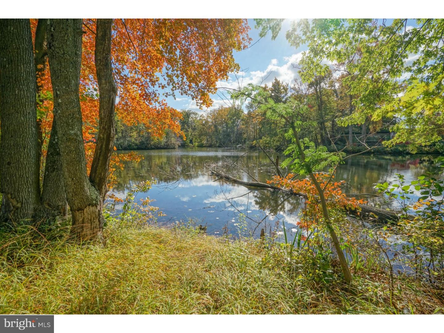31 Spring Lake Drive Clementon, NJ 08021 - Photo 12 of 16