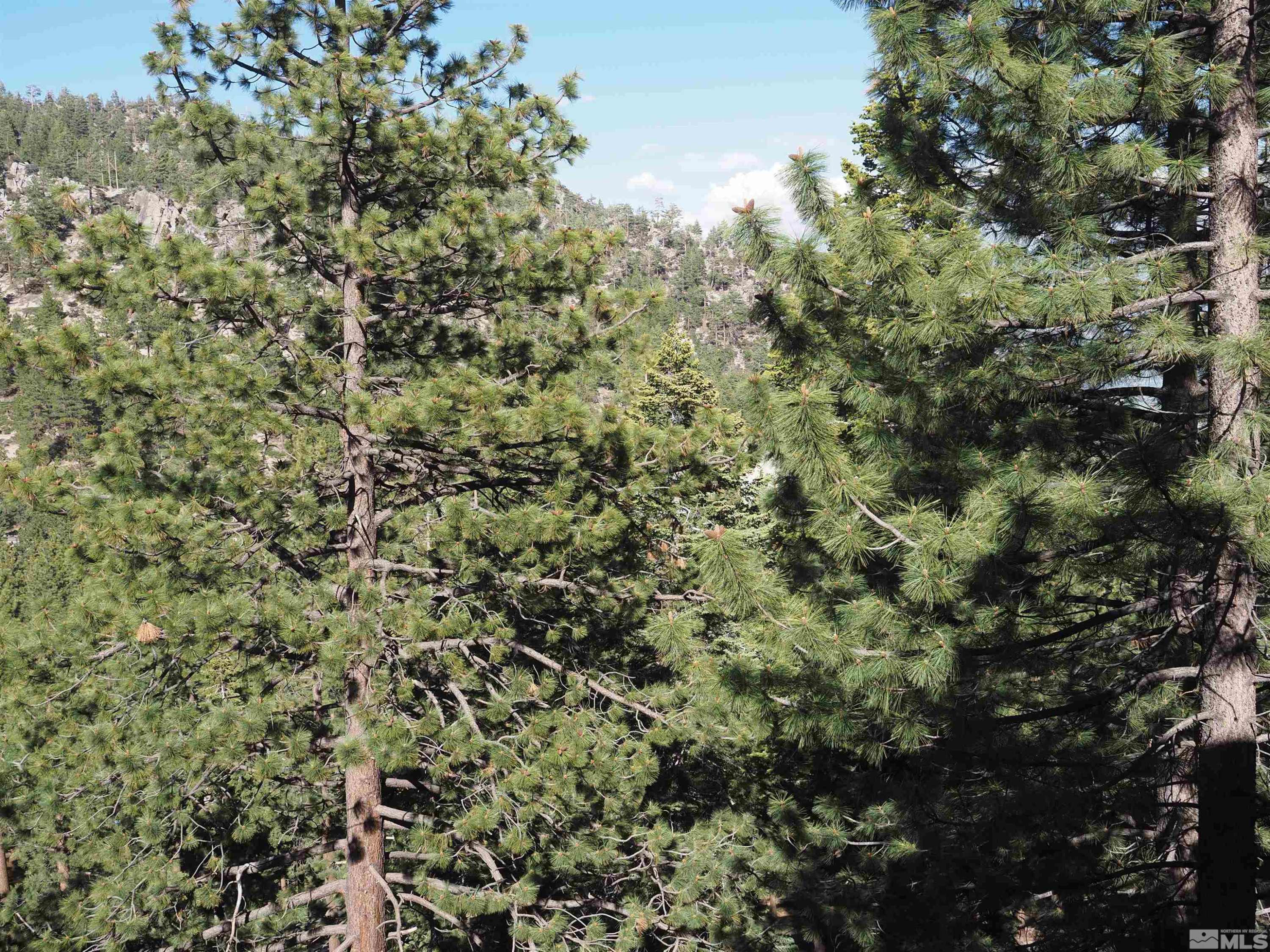 115 Tramway Drive, Unit 1 Stateline, NV 89449 - Photo 21 of 21 Photo 21