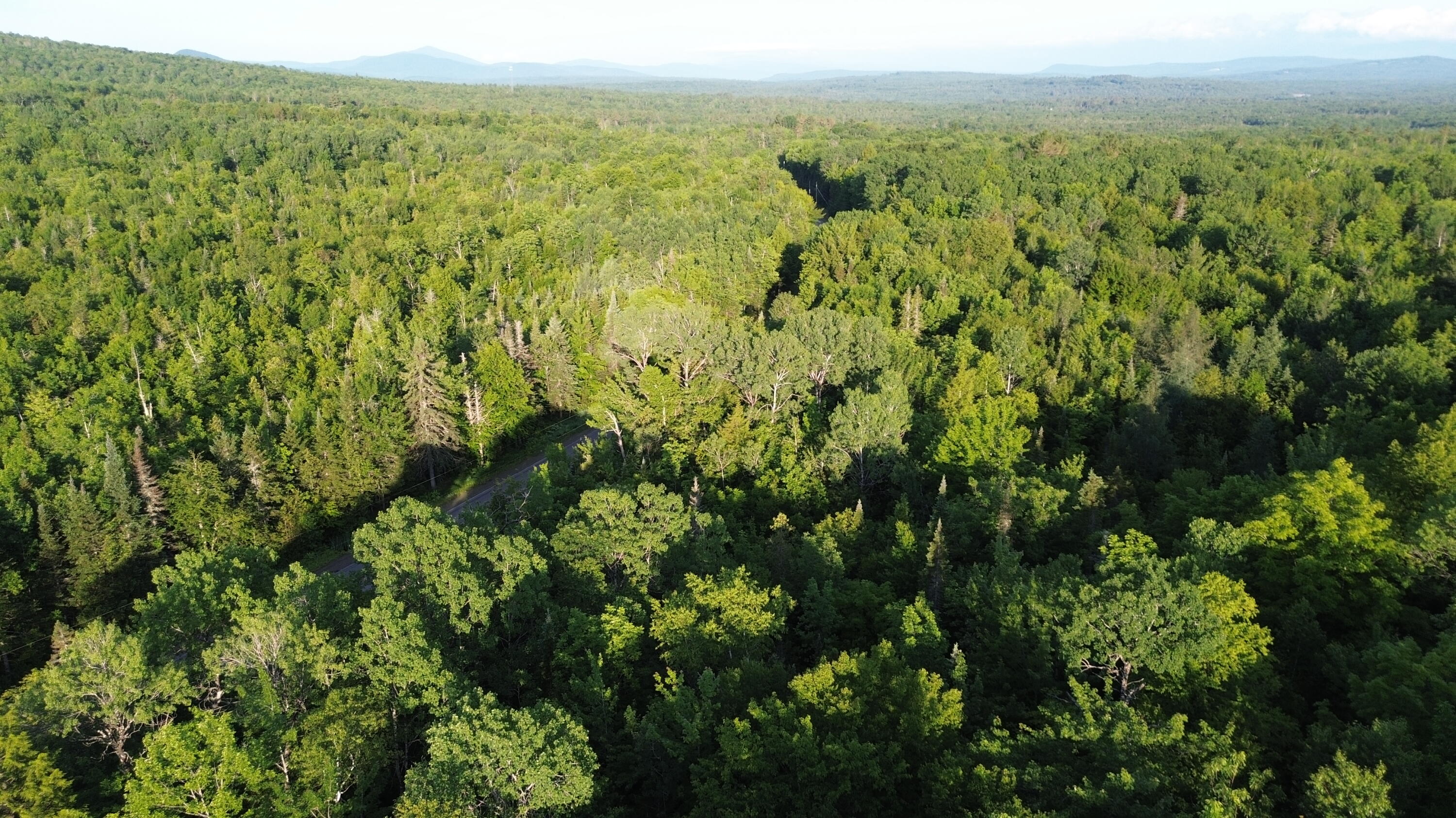 24a Anson Valley Road New Vineyard, ME 04956 - Photo 80 of 93 DJI_0094